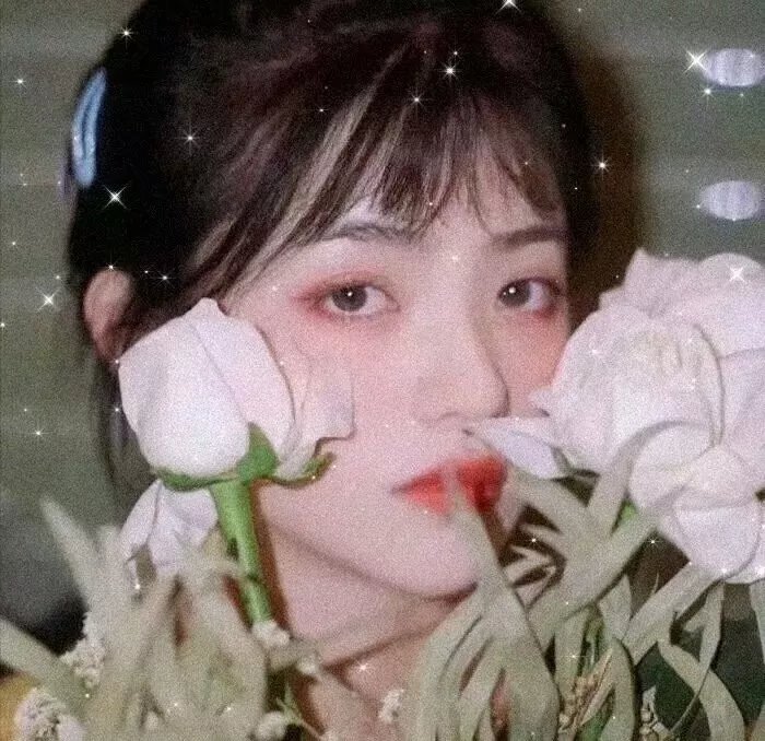 在我姐姐的婚纱里